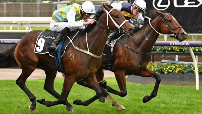 Hezashocka (right) upsets the applecart with a long odds victory at Flemington  - Photo: Quentin Lang