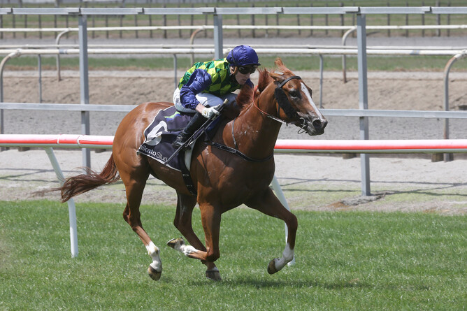 Alabama Gold streaks clear to win the Gr.3 Fairview Matamata Slipper (1200m) Photo Credit: Trish Dunell