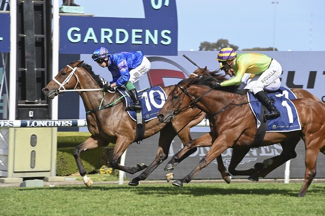 Bonny Ezra charges home to land the Listed ATC Cup (2000m) - Photo: Bradleyphotos.com.au