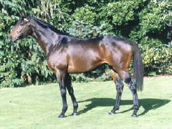 Cedar Manor's sire Oregon