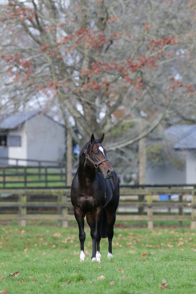 Tivaci - photo Trish Dunell