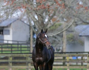 Tivaci shuttle deal a landmark agreement