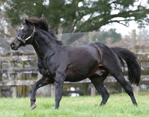 Results Continue for Rich Hill Class of 2011