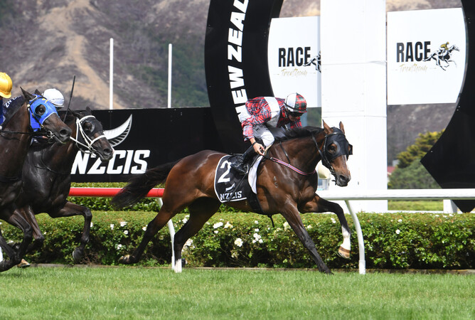 Times Ticking and Joe Doyle stride to victory the Gr.3 Mode Technology Trentham Stakes (2100m) on Saturday. - Photo: Peter Rubery (Race Images Palmerston North)