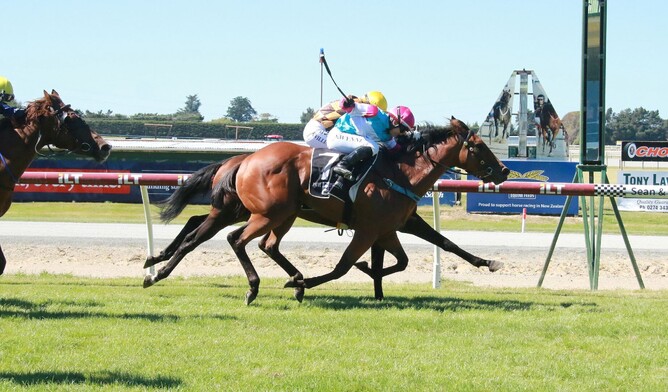 Chokito downs Milford Sound (mostly obscured) to take out the Listed ILT Ascot Park Hotel Southland Guineas (1600m) Photo Credit: Monica Toretto
