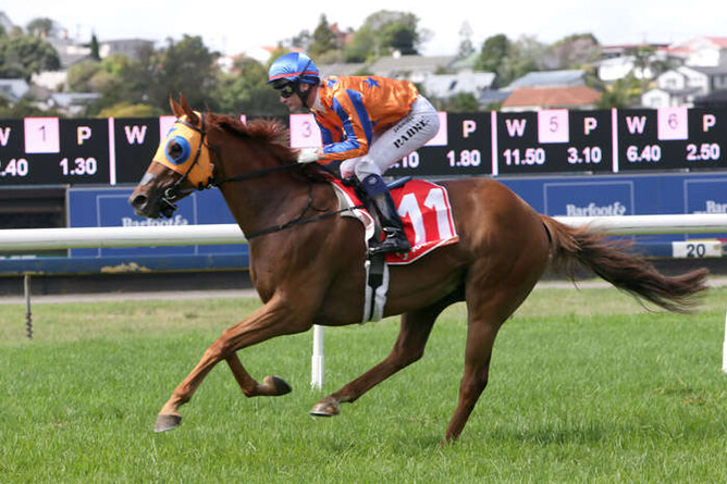 Gingernuts wins the Avondale Guineas (Image: Trish Dunell)