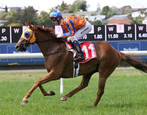Excellent results for Goodwood Stud's William Fell