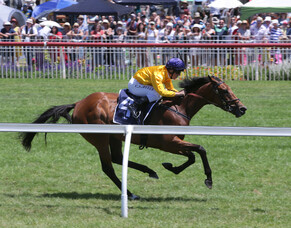 Sponsor takes major prize in Royal Stakes