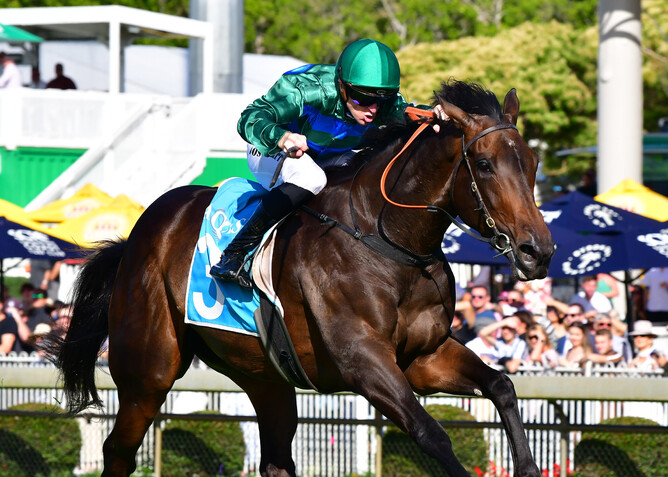 Renaissance Woman wins the Listed Gold Coast Bracelet (1800m) in the hands of Josh Parr - Photo Credit: Grant Peters