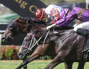Richards and Johnson continue carnival roll