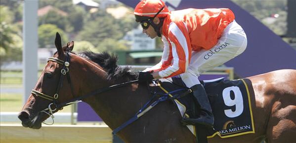Picture of Planet Rock courtesy of equine - Photographer Trish Dunell