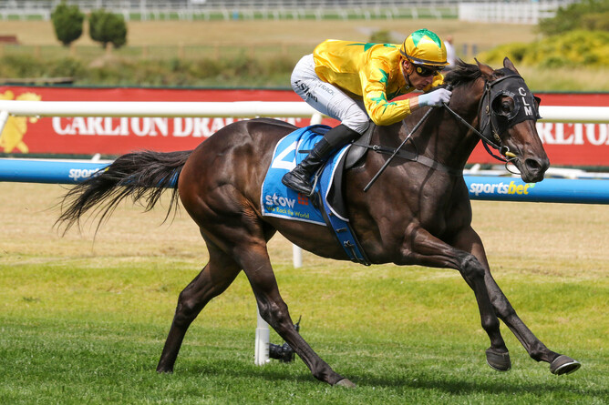Shanwah Shines with Dominant Win in Gr.2 Autumn Classic (1800m) at Caulfield for Ciaron Maher. - Photo: Bruno Cannatelli