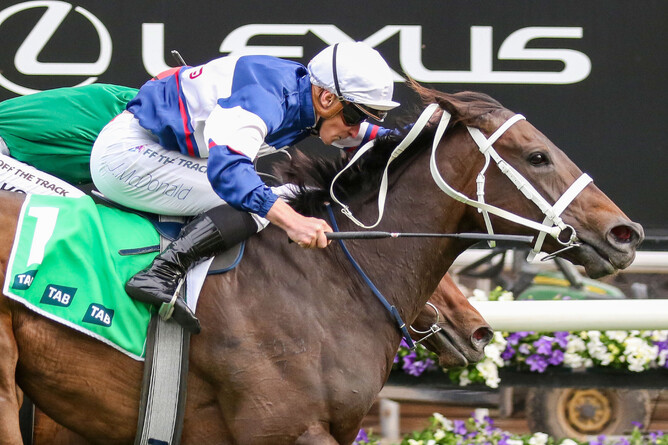 Go Racing’s pin-up girl Atishu takes out the Gr.1 Empire Rose Stakes (1600m) at Flemington. - Photo: Bruno Cannatelli