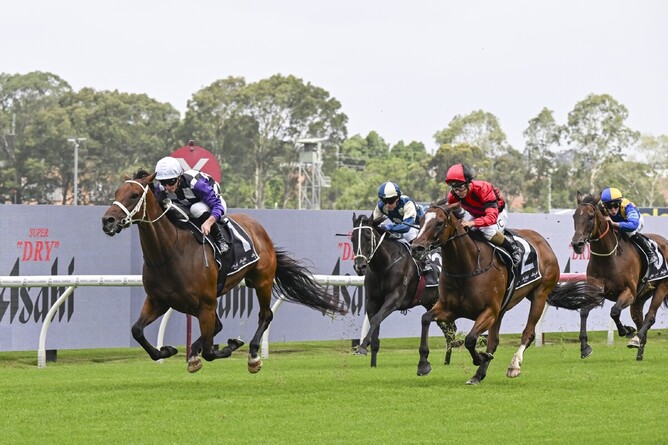 Osipenko wins the Listed ATC January Cup. - Photo: bradleyphotos.com.au