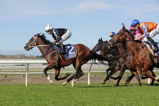 Singing Sun winning the Barfoot & Thompson Handicap (1200m) at Pukekohe - Photo: Trish Dunell