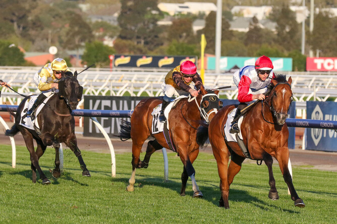 Mr Maestro winning the Listed Super Impose Stakes (1800m) at Flemington - Photo: Bruno Cannatelli