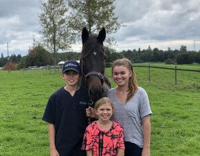 Prudent broodmare investment for breeder