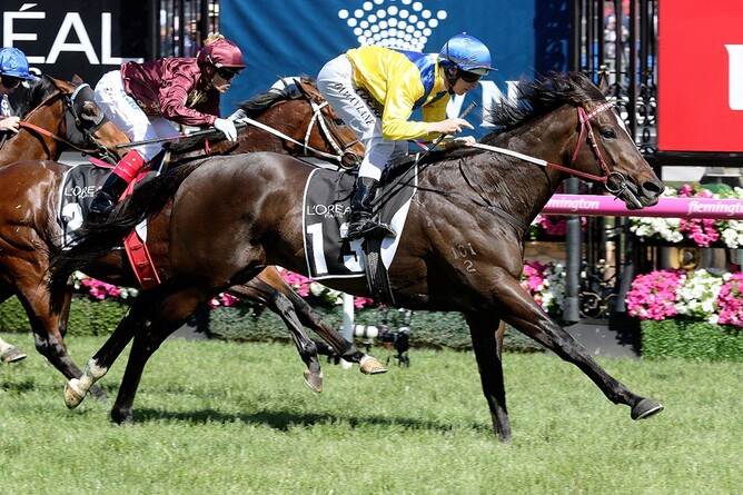 Rageese Gr.3 VRC L'Oreal Paris Stakes at Flemington  - pic ex Darryl Sherer