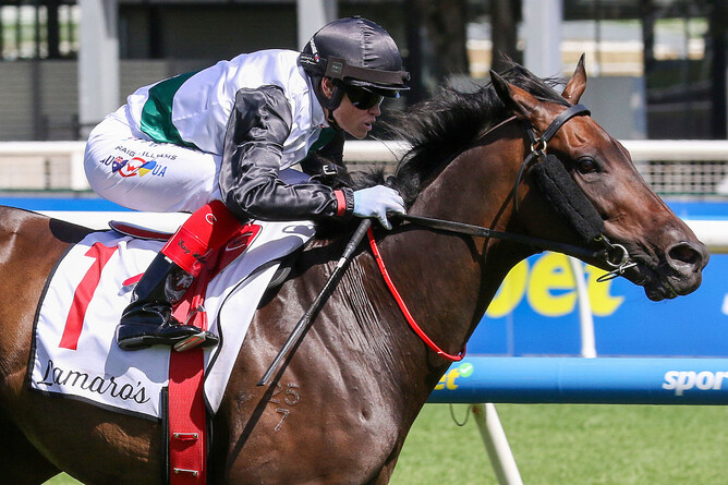 Mr Brightside brought up his sixth Group One with an impressive win in the Futurity Stakes at Caulfield.  - Photo: Bruno Cannatelli