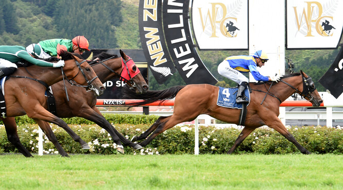 Showbeel (Savabeel - Showileo) winning the Gr.3 New Zealand Bloodstock Desert Gold Stakes - photo Race Images