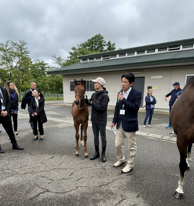 Yoshiro Endo speaking about the breeding process at the centre with one of their homebred foals.
