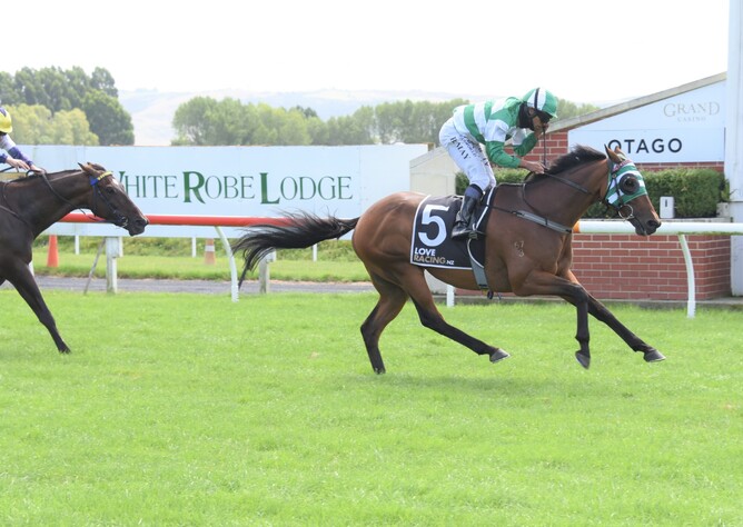 Kilowatt proves too strong for his rivals as he wins the Listed Alleviate Administration Dunedin Gold Cup (2400m) at Wingatui Photo Credit: Tayler Strong