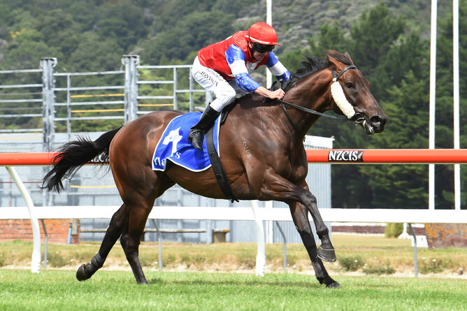 Camino Rocoso (Shocking - Our Centasea) winning the Gr.3 Barneswood Farm Trentham Stakes - photo Race Images