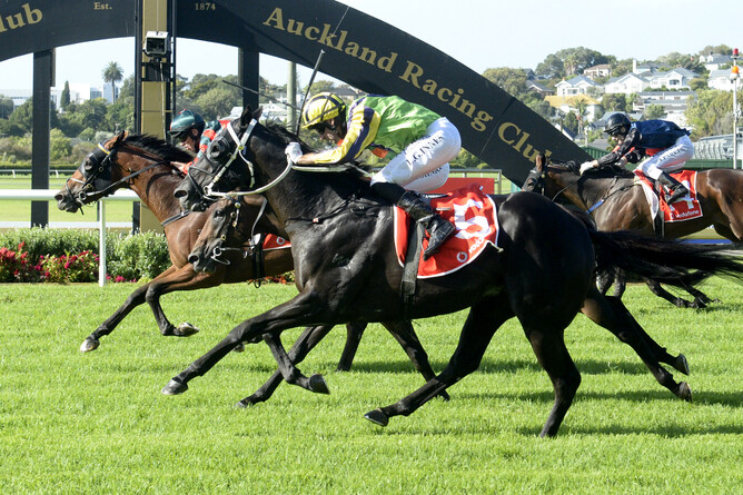 Rocket Spade (inner) masters Milford and Frontman (obscured, middle) to win the Gr.1 Vodafone New Zealand Derby (2400m) Photo: Race Images – Kenton Wright