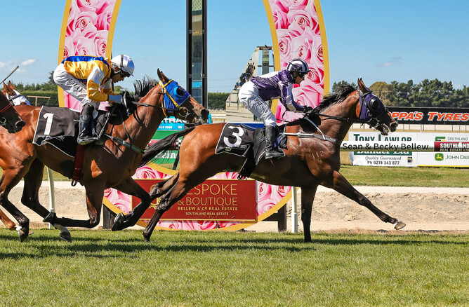 Press Charges fights gamely to claim the Listed ILT Ascot Park Hotel Southland Guineas (1600m) - Photo: Monica Toretto