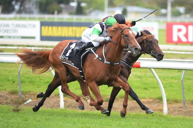 Rider Lisa Allpress drives debutant Stormy to a hard fought victory at Awapuni Photo Credit: Race Images – Peter Rubery