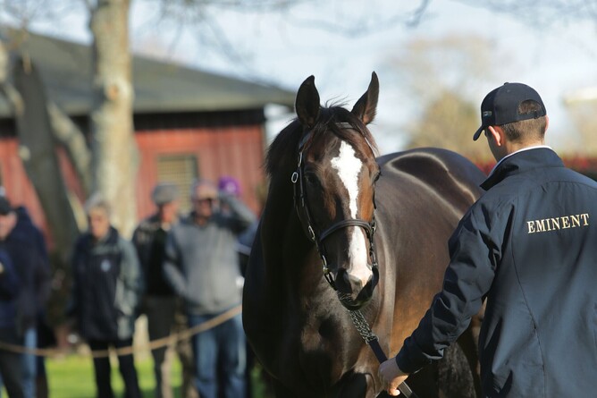 Eminent on parade. Photo: Trish Dunell