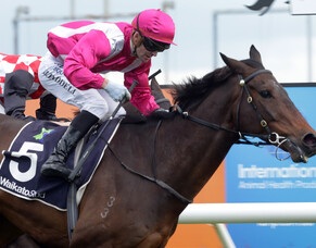 Dunc&rsquo;s mistake a Group Three winner