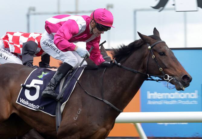 True Enough winning the Gr.3 Red Badge Spring Sprint at Hastings - Trish Dunell