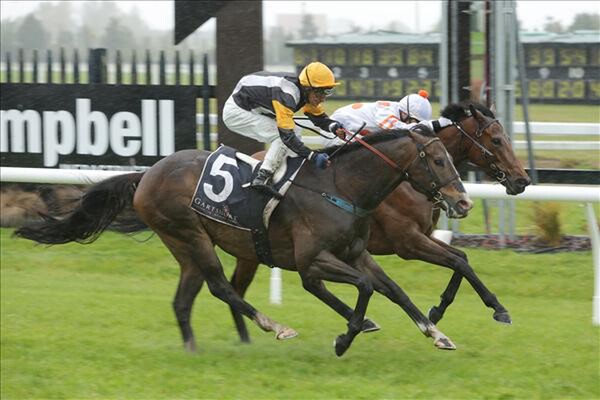 Picture courtesy of Trish Dunell  (Ginner Hart on outside)