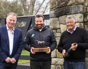 Waikato Stud named New Zealand Breeder of the Year