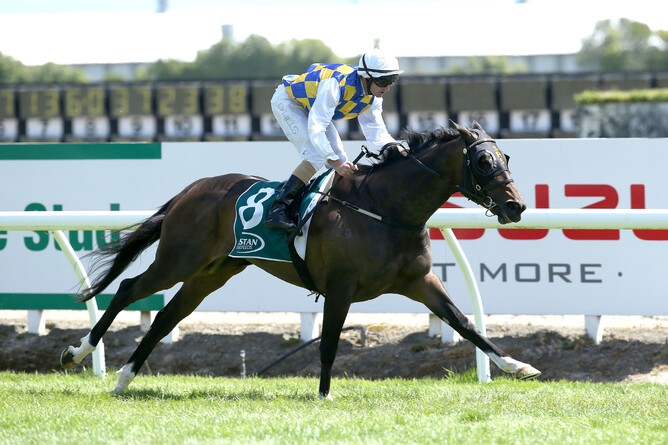 Fanatic - pic. Trish Dunell