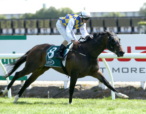 Group One winner Fanatic to join Melbourne stable