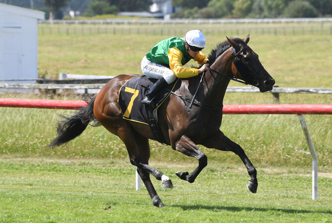 Reputation winning the Listed Clubs NZ Wairarapa Thoroughbred Breeders’ Stakes (1600m) at Tauherenikau on Thursday. - Photo: Peter Rubery (Race Images)
