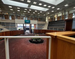 Rebecca Donovan - Sunline Management Scholarship Blog 4