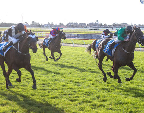 Show-jumping prize paves way to Winter Cup breeding success