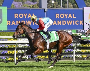 Ka Ying Rising conquers Everest