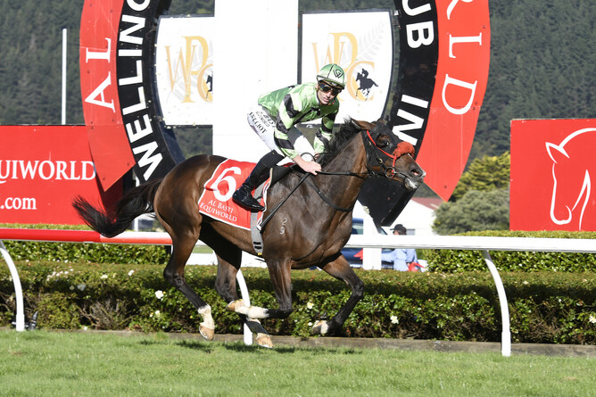 Ryan Elliot has Pennyweka well clear as she cruises home in the Gr.1 Al Basti Equiworld New Zealand Oaks (2400m) at Trentham - Photo: Race Images – Peter Rubery
