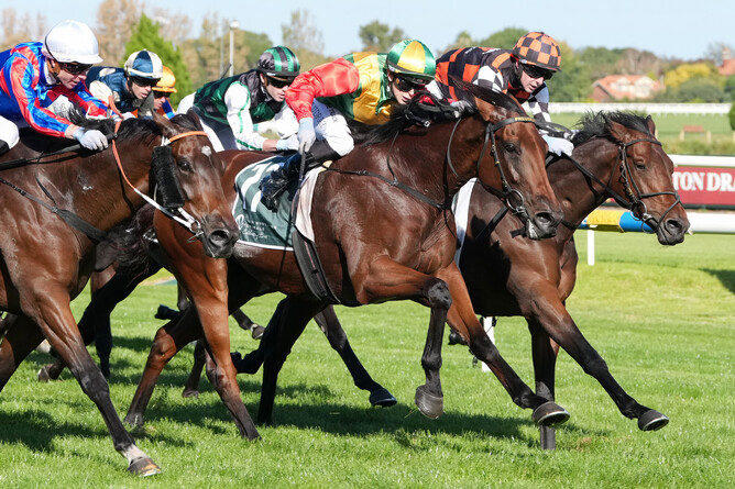 Torranzino ridden by Celine Gaudray wins the Tobin Brothers Celebrating Lives Easter Cup at Caulfield.  - Photo: George Sal/Racing Photos