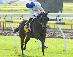 New focus at The Oaks Stud