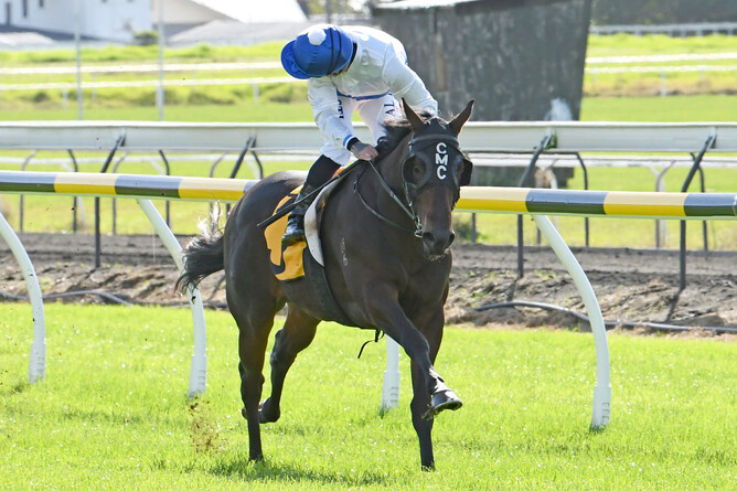 Catalyst winning at New Plymouth earlier this year. - Peter Rubery (Race Images Palmerston North)
