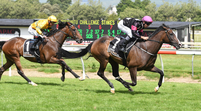 Coventina Bay defeats Tavi Mac in the Gr.2 Carters Manawatu Challenge Stakes (1400m) Photo: Race Images – Grant Matthew