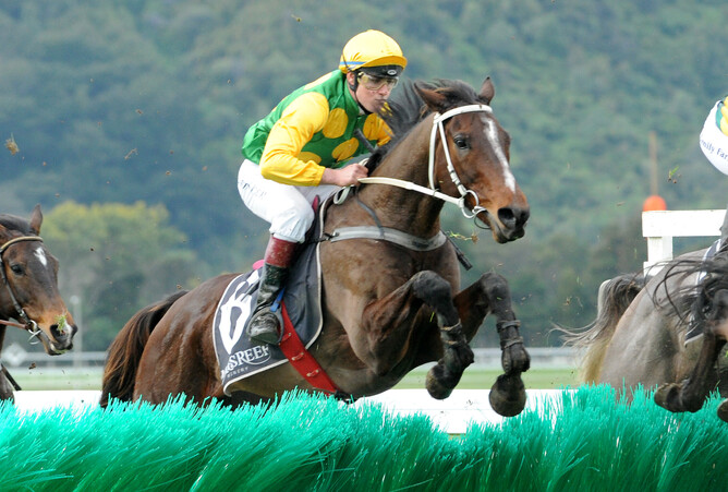 Just Got Home clears a hurdle on his way to winning the Wellington Hurdle in 2014. Photo: Race Images