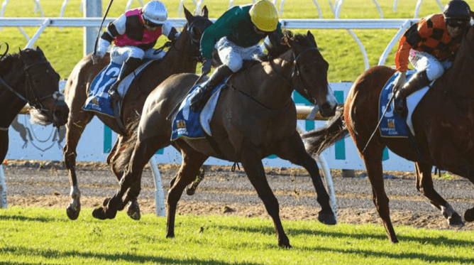 Jay Bee Gee on his way to winning Saturday's Gr.3 Winter Cup (1600m) at Riccarton.  - Photo: Race Images South