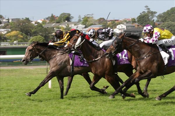 Farm Boy ridden by Vinnie Coglan wins the Avondale Cup - Photo courtesy of Trish Dunell
