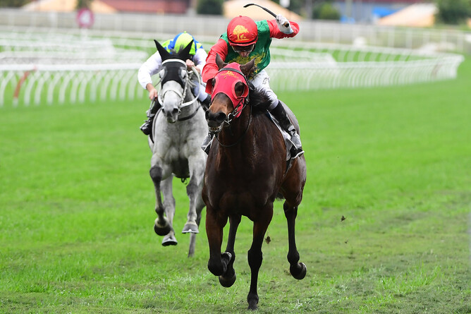 Royally bred mare Zayydani scores easily in the Listed Tattersall’s Gold Crown (2137m) at Eagle Farm Photo Credit: Grant Peters